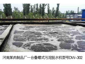 河南某肉制品廠(chǎng)